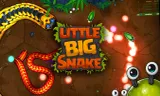 Little Big Snake
