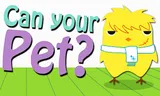 Can Your Pet?