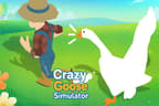 Crazy Goose Simulator
