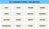 Connections Unlimited