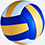 Game image for Volleyball