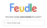 Feudle