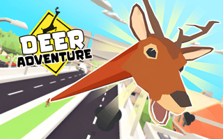 Deer Adventure