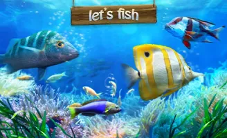 Let's Fish