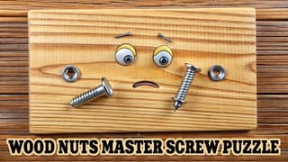 Spielbild Wood Nuts Master: Screw Puzzle