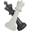 Game image for Chess