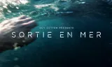 Sortie en Mer