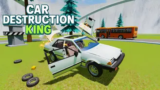Car Destruction King