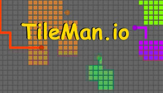 image game TileMan.io